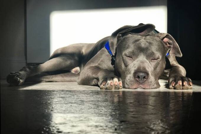 Якою буде погода у Вінниці та області 17–18 березня