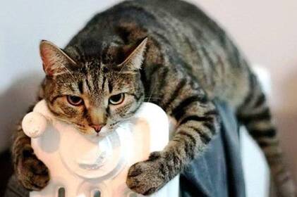 У Вінниці похолодає: синоптики прогнозують дощ і мокрий сніг