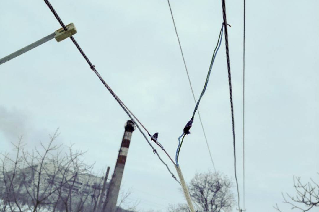 Незаконна економія на світлі: як крадіжка електроенергії обертається великими штрафами