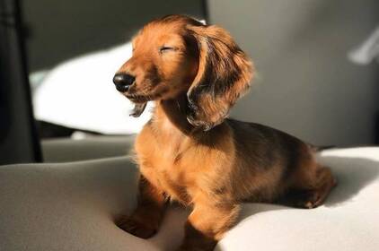 До +17 і без дощів: на Вінниччині встановиться справжнє весняне тепло