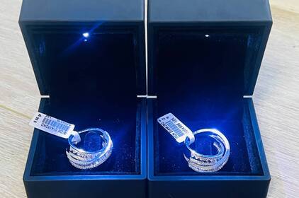 Діаманти в багажі: на Вінниччині виявили незадекларовані прикраси