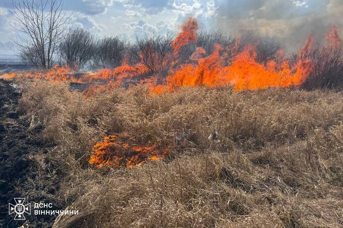 Вогонь знищив 17 гектарів землі за добу: рятувальники закликають не випалювати траву