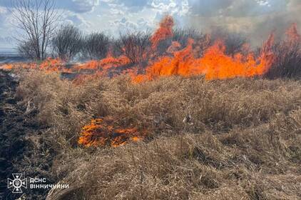 Вогонь знищив 17 гектарів землі за добу: рятувальники закликають не випалювати траву