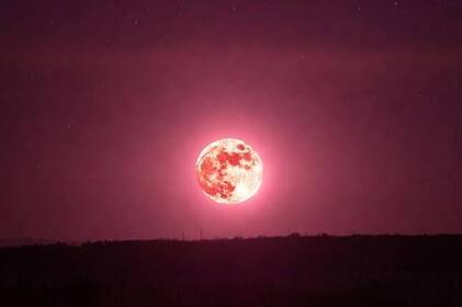 Рожева повня вже цієї ночі: коли і як спостерігати унікальне явище