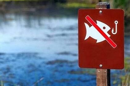 На Вінниччині стартувала нерестова заборона: що потрібно знати рибалкам