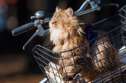 Якою буде погода на Вінниччині у вихідні: прогноз