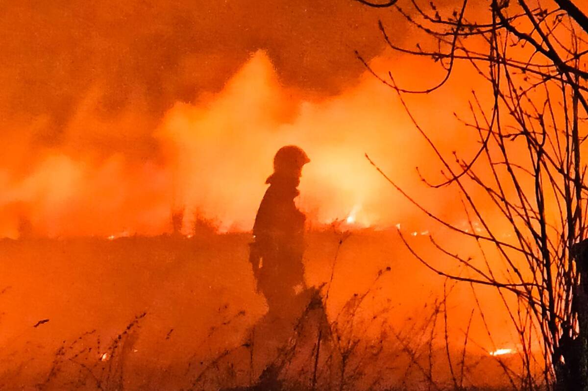 13 пожеж за добу на Вінниччині: горіли склади, господарські споруди та екосистеми