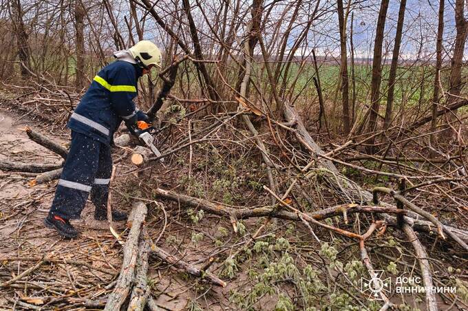 Повалені дерева і нові загрози: наслідки негоди на Вінниччині