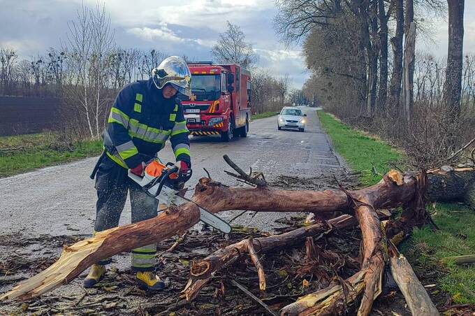 Негода на Вінниччині повалила дерева на дороги: рятувальники дев’ять разів виїжджали на виклики (відео)