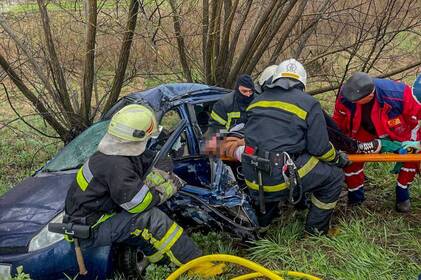 ДТП на Вінниччині: рятувальники деблокували жінку з понівеченого авто
