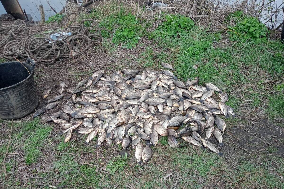 На Вінниччині браконьєр завдав збитків природі на 7 мільйонів гривень