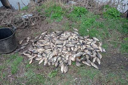 На Вінниччині браконьєр завдав збитків природі на 7 мільйонів гривень