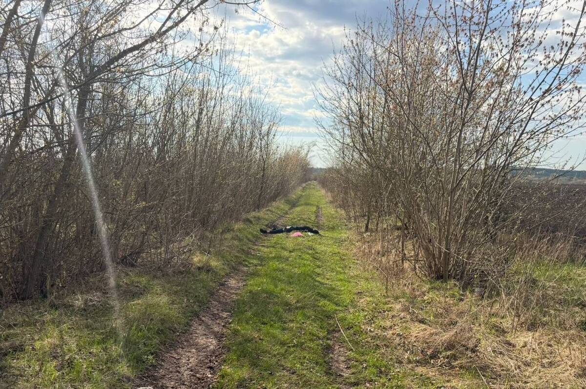 Смертельна ДТП на Вінниччині: п’яний водій збив пішохода на польовій дорозі