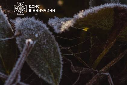 Заморозки до -5° і дощі наприкінці тижня: прогноз погоди на Вінниччині