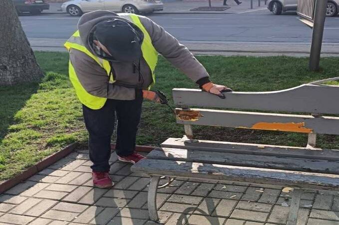 Вінниця оновлюється після зими: у місті фарбують лавки, перила та висаджують дерева