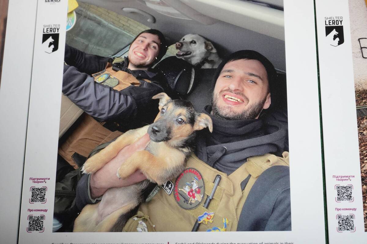 У Вінниці відкрили виставку про тварин, врятованих із зони бойових дій