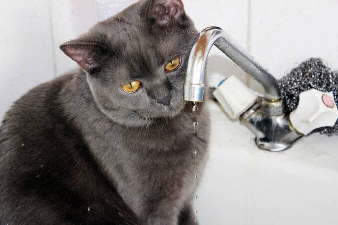 Без відключень, але з ремонтами: що відбувається у Вінниці 17 квітня