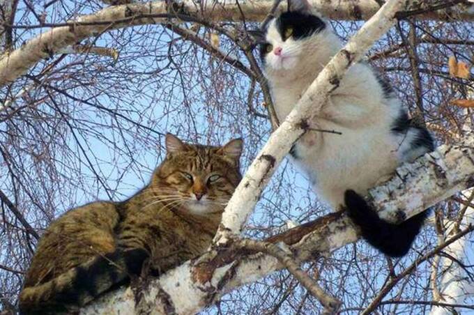 Без опадів у неділю і дощ у понеділок: прогноз погоди на Вінниччині