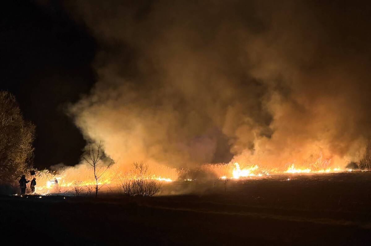 На Вінниччині за добу сталося 12 пожеж: більшість — в екосистемах (фото)