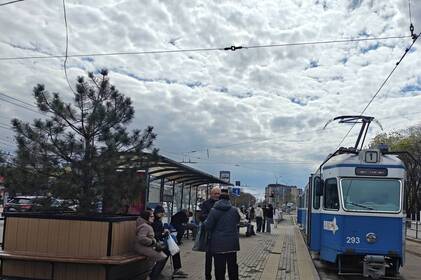 Кашпо з деревами з Соборної перенесли на зупинку біля медуніверситету