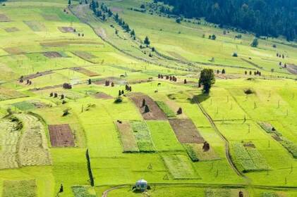На Вінниччині державі повернули земельну ділянку з археологічною пам’яткою