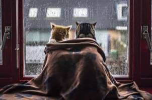 Синоптики попереджають про небезпечну погоду на Вінниччині: прогноз