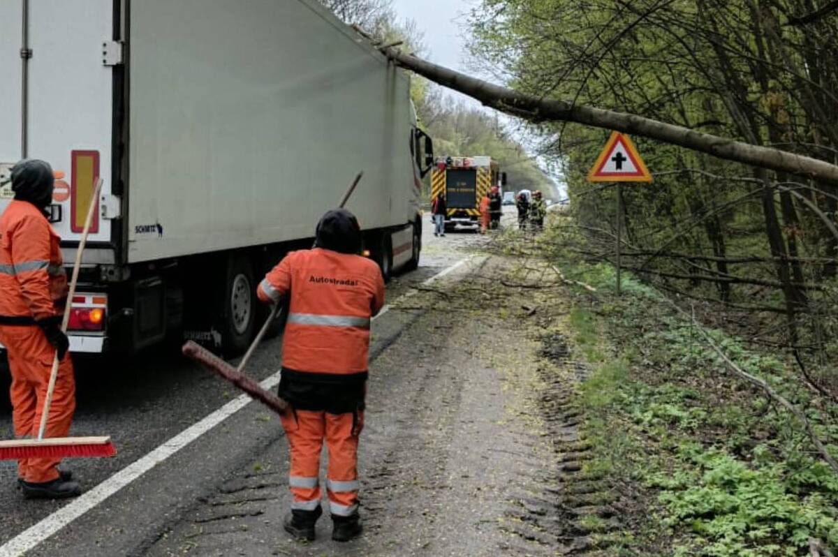 На Вінниччині розчищають автошляхи від повалених дерев і надають допомогу водіям