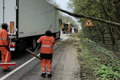 На Вінниччині розчищають автошляхи від повалених дерев і надають допомогу водіям