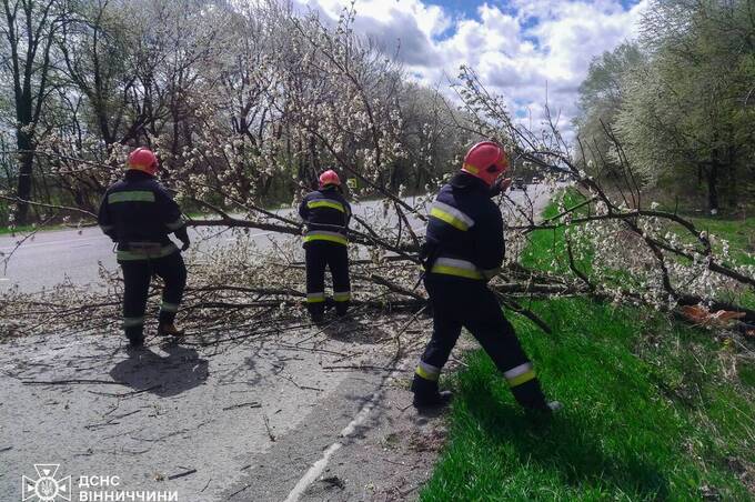 Повалені дерева та негода на Вінниччині: рятувальники працюють у посиленому режимі (Оновлено)

