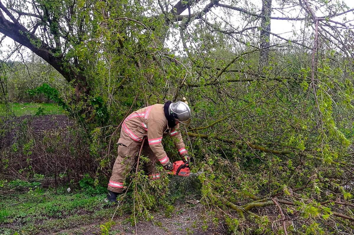 Негода на Вінниччині призвела до травмування людини та блокування десятків автошляхів