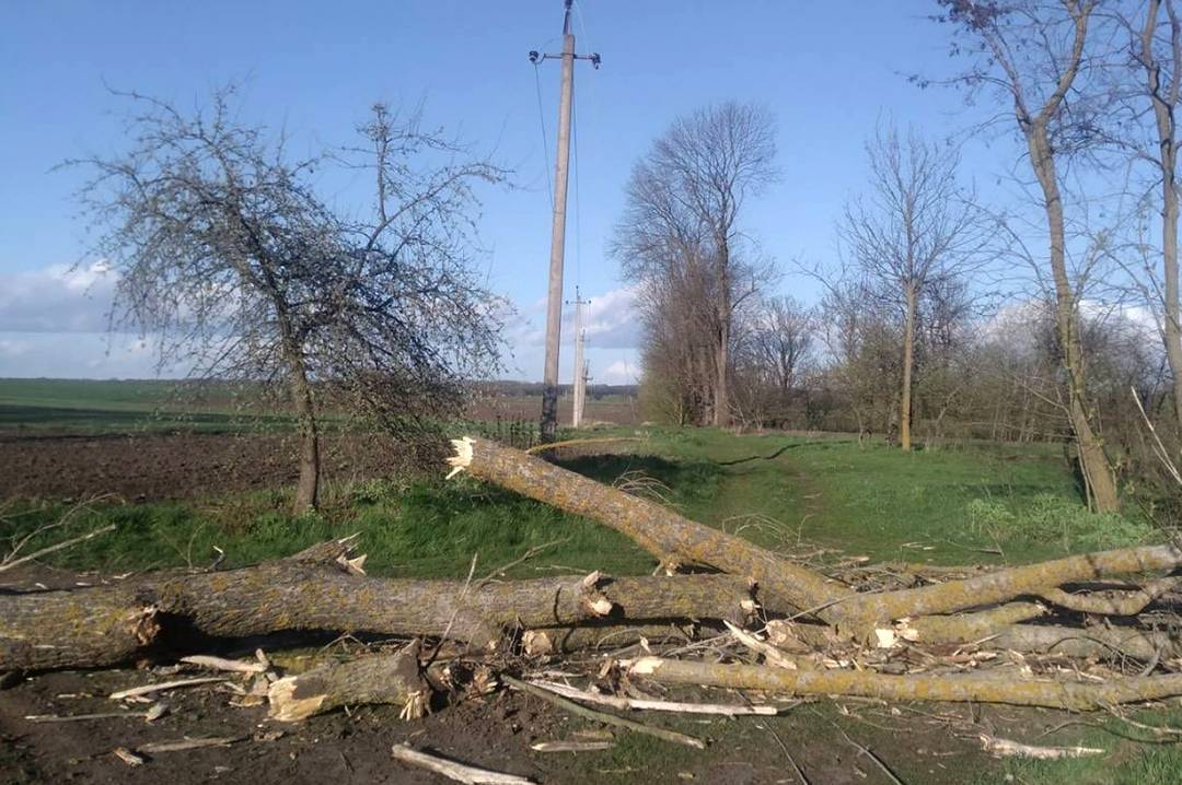 На Вінниччині тривають масштабні роботи з відновлення електромереж після буревію