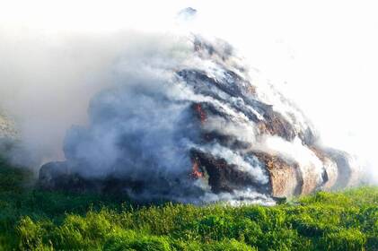 На Вінниччині за добу сталося 8 пожеж: більшість — в екосистемах