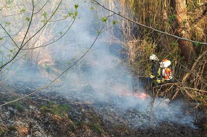 Вогонь не вщухає: за добу на Вінниччині сталося 18 пожеж