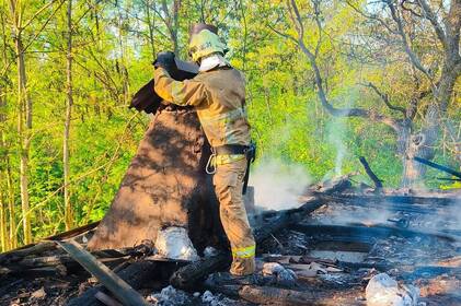 Дитячі пустощі з вогнем спричинили пожежу на недіючому екскаваторі в Агрономічному