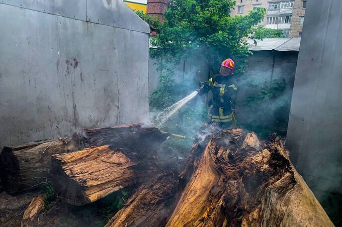 Від початку року на Вінниччині вигоріло понад 241 га екосистем через людську недбалість