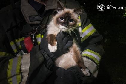 На Вінниччині рятувальники дістали пса з люка та врятували кошеня з глибокого колодязя