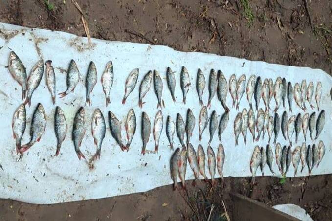На Вінниччині браконьєр під час нересту наловив риби на понад 122 тисячі гривень