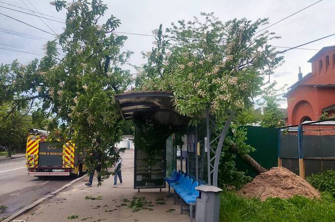 Сильний вітер повалив дерева на Вінниччині та заблокував зупинку у центрі міста (фото)
