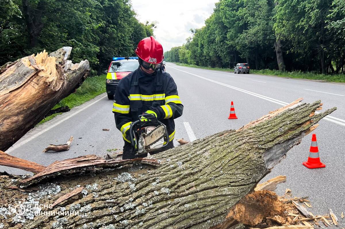 Повалені дерева та затоплене подвір'я: наслідки негоди на Вінниччині