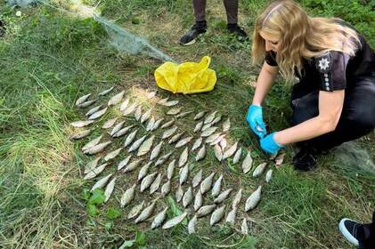 На Вінниччині браконьєр наловив 3,7 кг риби, але завдав збитків на понад 137 тисяч гривень