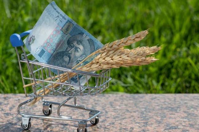 Українці можуть отримати допомогу на ведення господарства