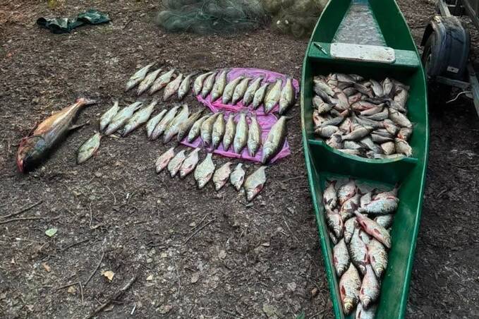 На Вінниччині затримали браконьєра з незаконним уловом на 308 тисяч гривень