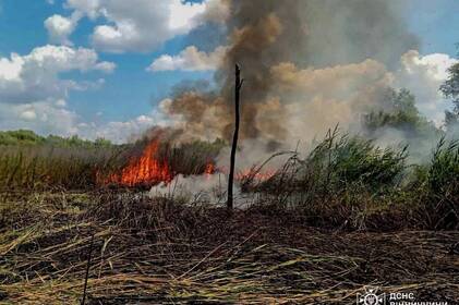 За минулу добу на Вінниччині сталось 20 пожеж