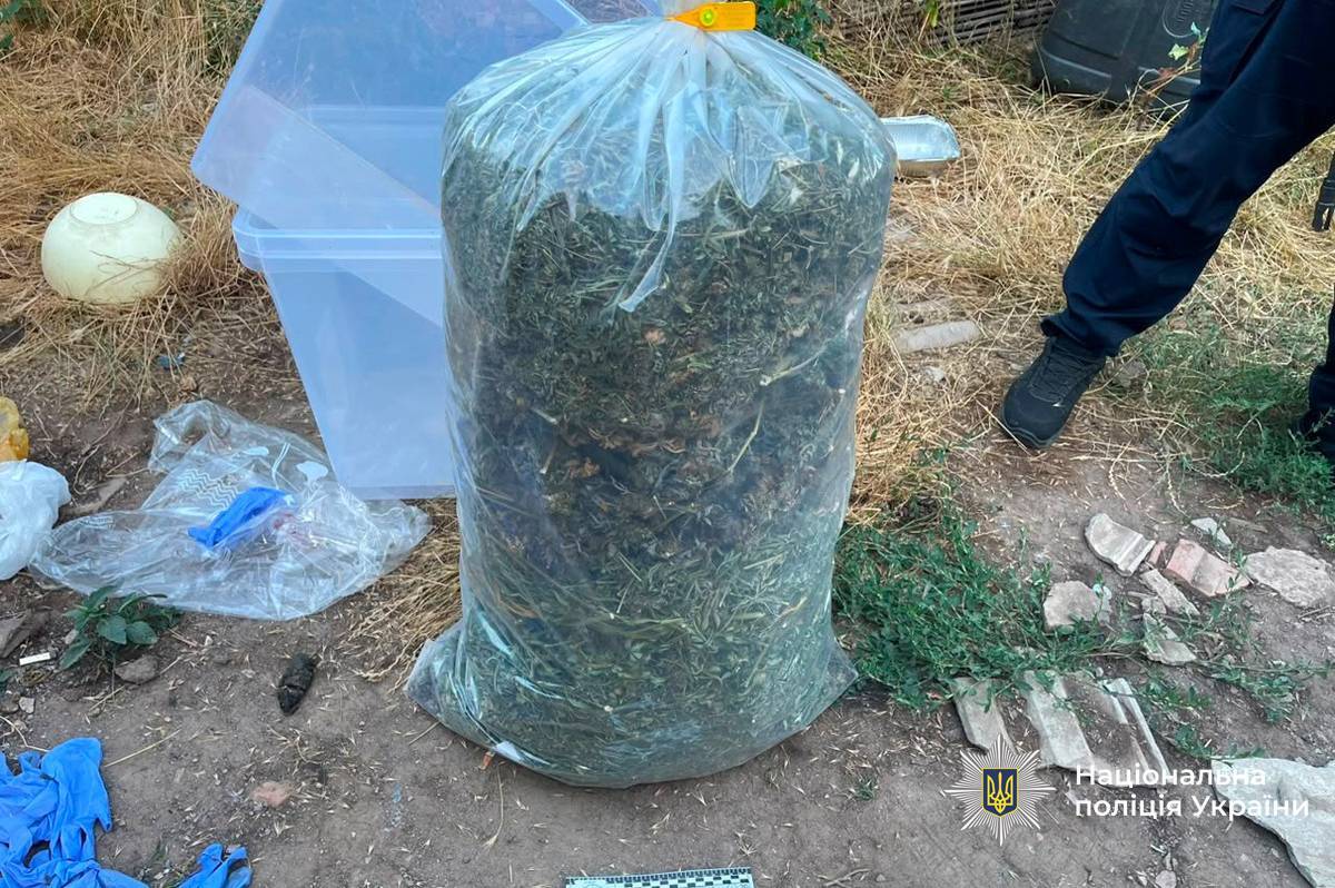 На Вінниччині у чоловіка вилучили понад 5 кг канабісу та виявили плантацію конопель