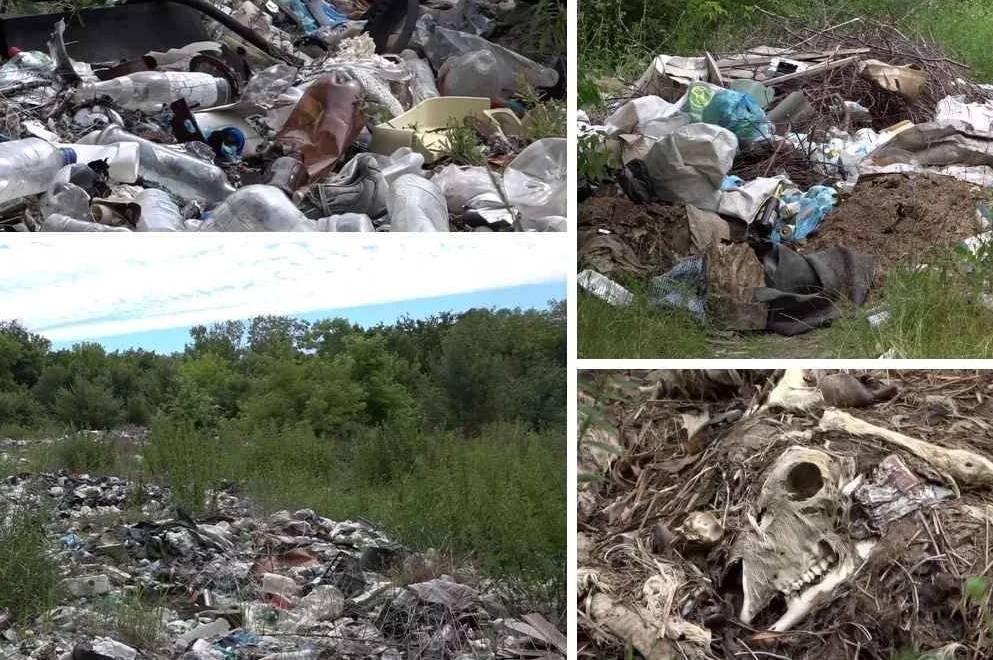 На Жмеринщині п’ятигектарне стихійне сміттєзвалище отруює довкілля та ліси