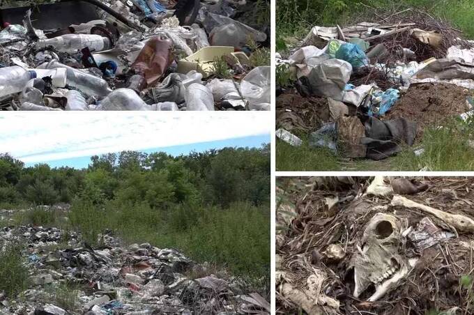 На Жмеринщині п’ятигектарне стихійне сміттєзвалище отруює довкілля та ліси