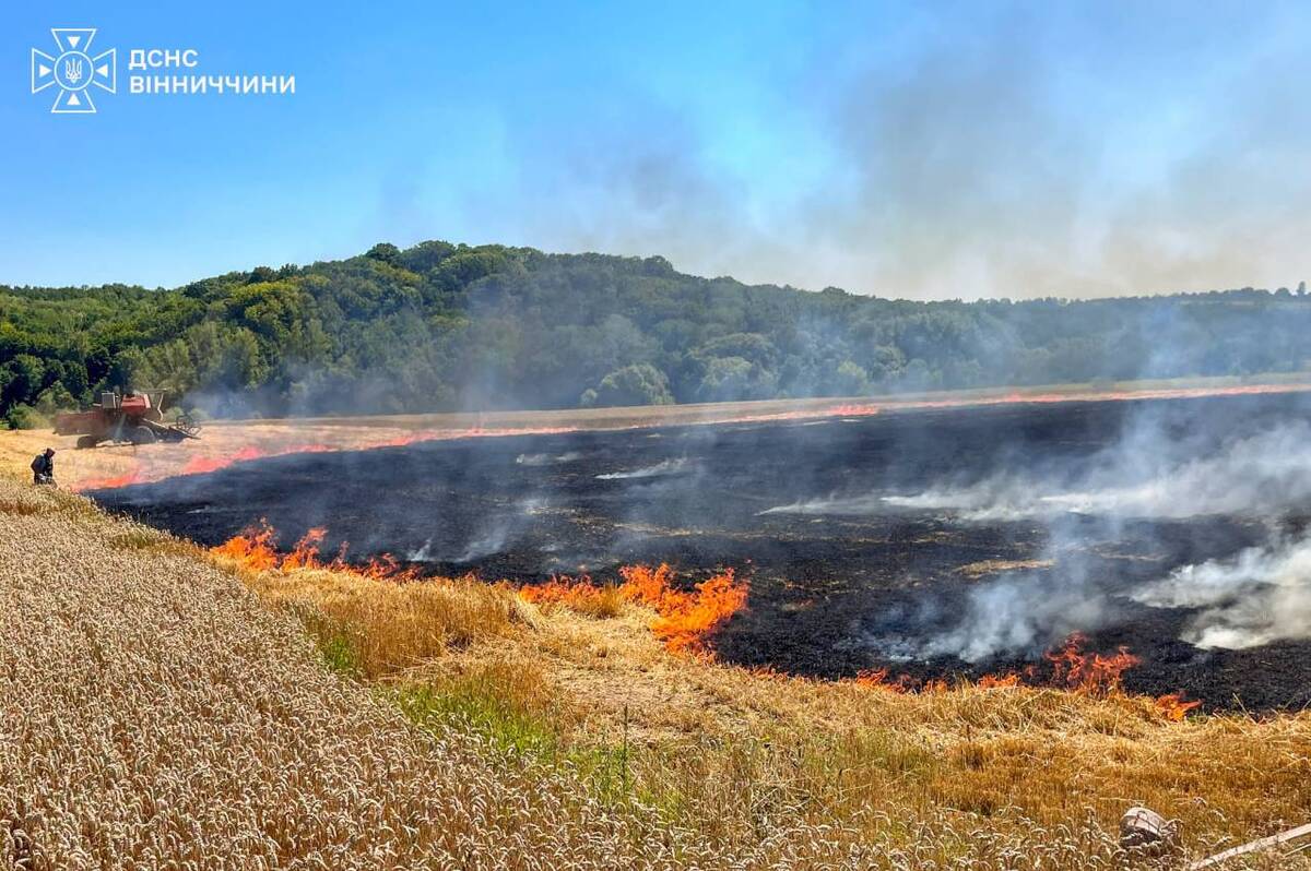 На Вінниччині через людську недбалість згоріло поле пшениці (фото)