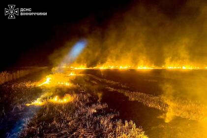 На Вінниччині через людську недбалість за добу вигоріло 6 гектарів землі (фото)