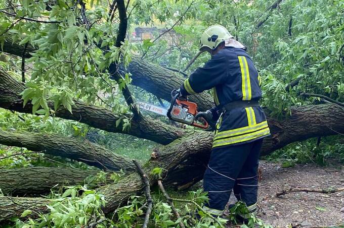 На Вінниччині рятувальники ліквідовували наслідки негоди: дерево впало на автомобіль у Вінниці