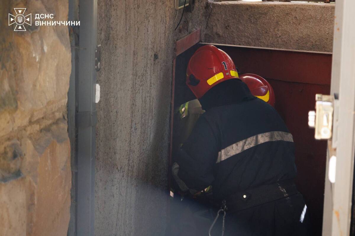 Суха трава, стерня та будівлі: де на Вінниччині сталися пожежі